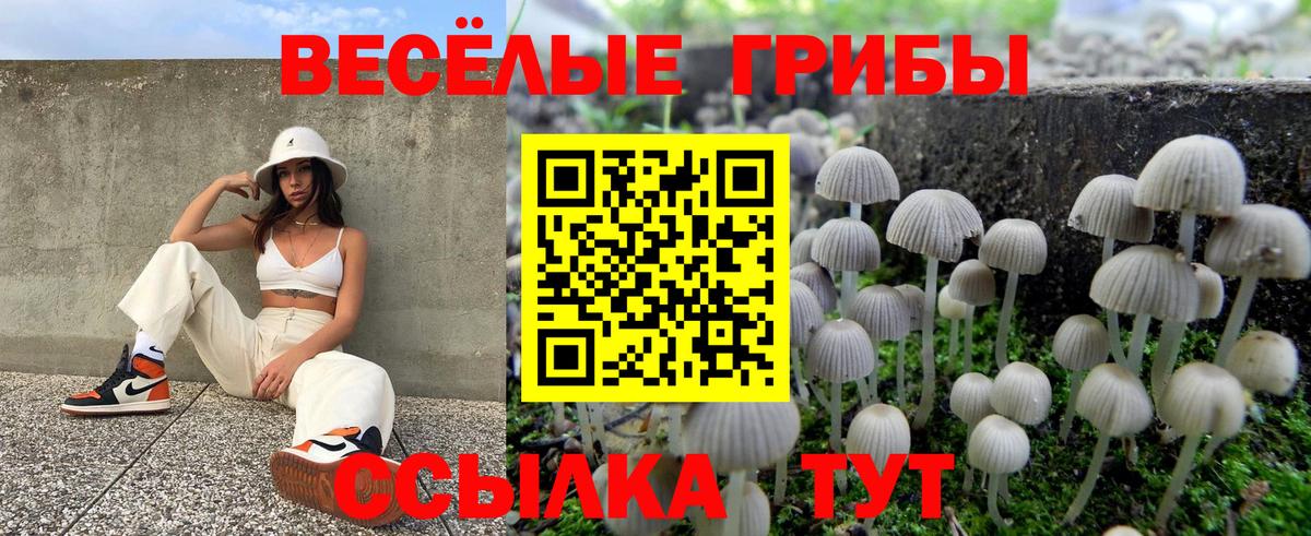 Галлюциногенные грибы мицелий Миллерово